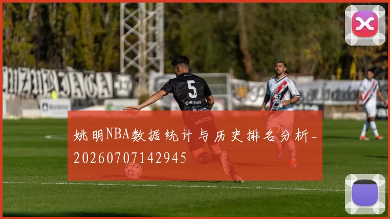 姚明NBA数据统计与历史排名分析_20260707142945