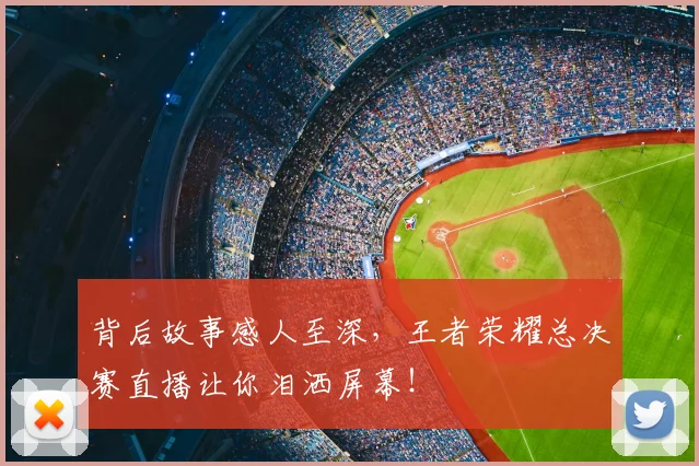 背后故事感人至深，王者荣耀总决赛直播让你泪洒屏幕！