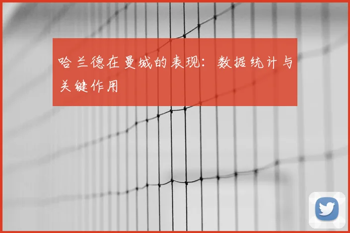 哈兰德在曼城的表现:数据统计与关键作用